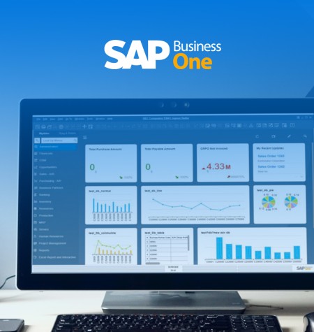 Check Out Our SAP Business One Training Series